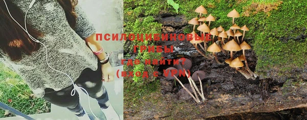 не бодяженный Балахна