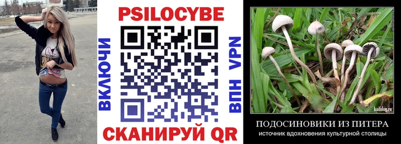 Галлюциногенные грибы Psilocybine cubensis  Богучар 