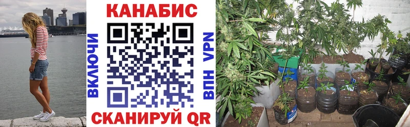 Канабис White Widow  ОМГ ОМГ ссылки  Богучар 